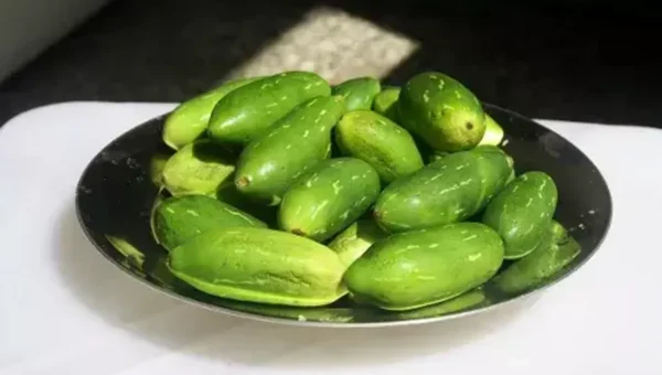 ટીંડોળા ખાવાનું ન ગમતું હોય તો પણ ચાલુ કરી દેજો, એટલા ફાયદા થશે કે દવાની જરુર નહીં પડે..