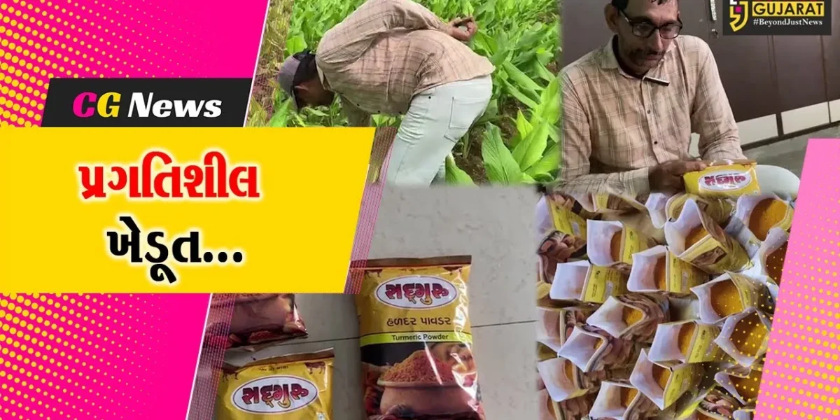 સાબરકાંઠા : હિંમતનગરના ખેડૂત હળદરનો પાવડર બનાવી કરે છે વેચાણ, મહિને થાય છે આટલી કમાણી..!