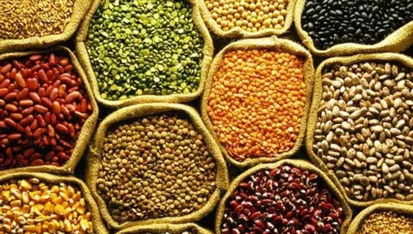 ગેસ અને એસિડિટી જેવી પરેશાનીથી રાહત મેળવવા માટે આ 4 દાળનું સેવન ઓછું કરો, નહીં તો…
