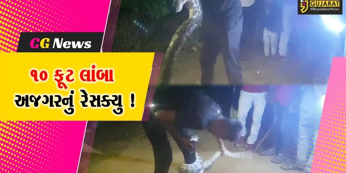 સાબરકાંઠા: હિંમતનગરના વિરપુરમાં 10 ફૂટ લાંબો અજગર જોવા મળ્યો, રેસક્યુ ઓપરેશન હાથ ધરાયુ