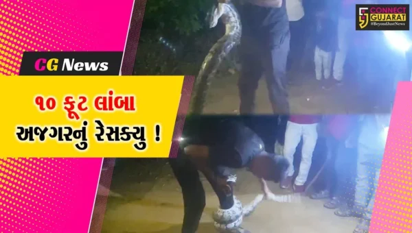 સાબરકાંઠા: હિંમતનગરના વિરપુરમાં 10 ફૂટ લાંબો અજગર જોવા મળ્યો, રેસક્યુ ઓપરેશન હાથ ધરાયુ