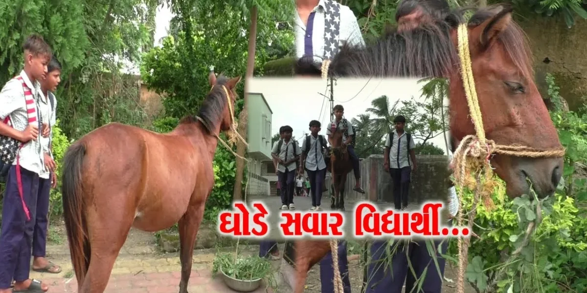 સુરત : ઘોડે સવારી કરી શાળાએ પહોચતો બારડોલીના ખરવાસા ગામનો વિદ્યાર્થી કુશ, જુઓ બાળકમાં રહેલી ઘોડા પ્રત્યેની અનોખી લાગણી…