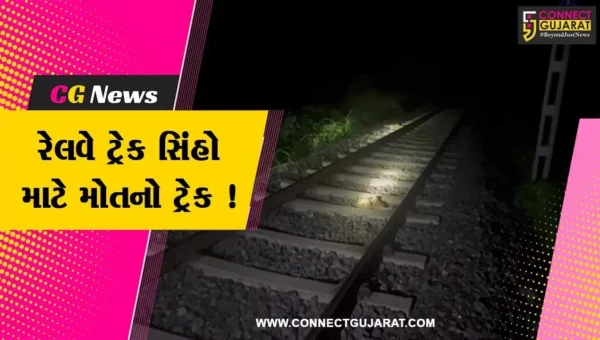 અમરેલી: છેલ્લા 10 દિવસમાં ત્રીજા સિંહનું ટ્રેનની અડફેટે આવી જતા મોત, સ્થાનિકોમાં રોષ