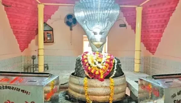 પંચમહાલ:વર્ષે ચોખાના દાણા જેટલું વધે છે આ શિવલિંગ,8 ફૂટ ઊંચા સ્વયંભૂ શિવલિંગ પરથી સતત વહે છે જલધારા