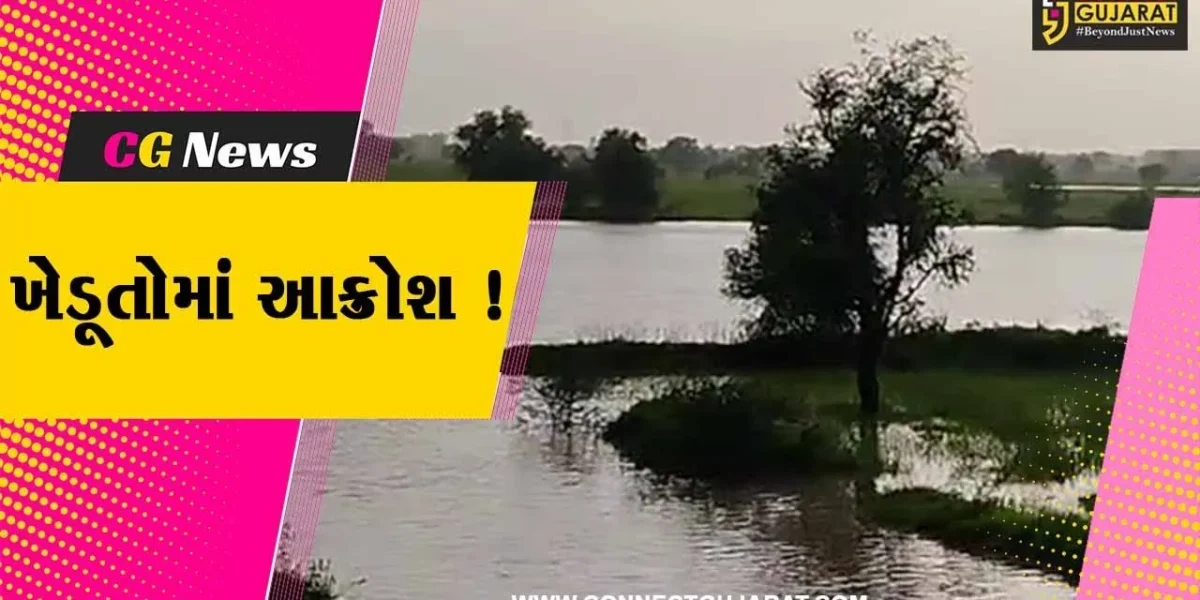 ભરૂચ: આમોદના દોરા ગામ નજીક એક્સપ્રેસ હાઈવેની કામગીરીને પગલે ખેતરો બેટમાં ફેરવાયા,ખેડૂતોમાં આક્રોશ
