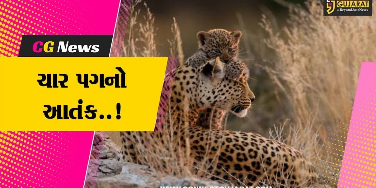 નવસારી : દીપડીના આંટાફેરાથી સ્થાનિકોમાં ભયનો માહોલ, યુવાનો હાથમાં લાકડા લઈ દીપડીને શોધવા નીકળ્યા..!