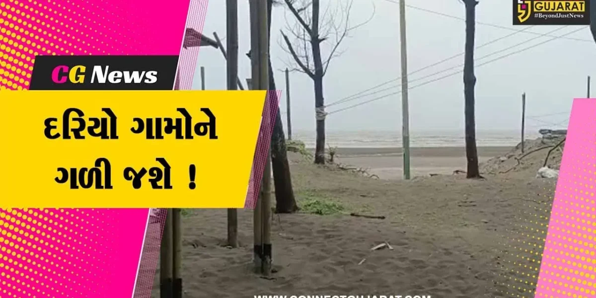 નવસારી: જંગલી બાવળોને દૂર કરાતા દાંડીમાં દરિયો અનેક ગામોને ભરખી જશે ! ગ્રામજનોમાં રોષનો માહોલ