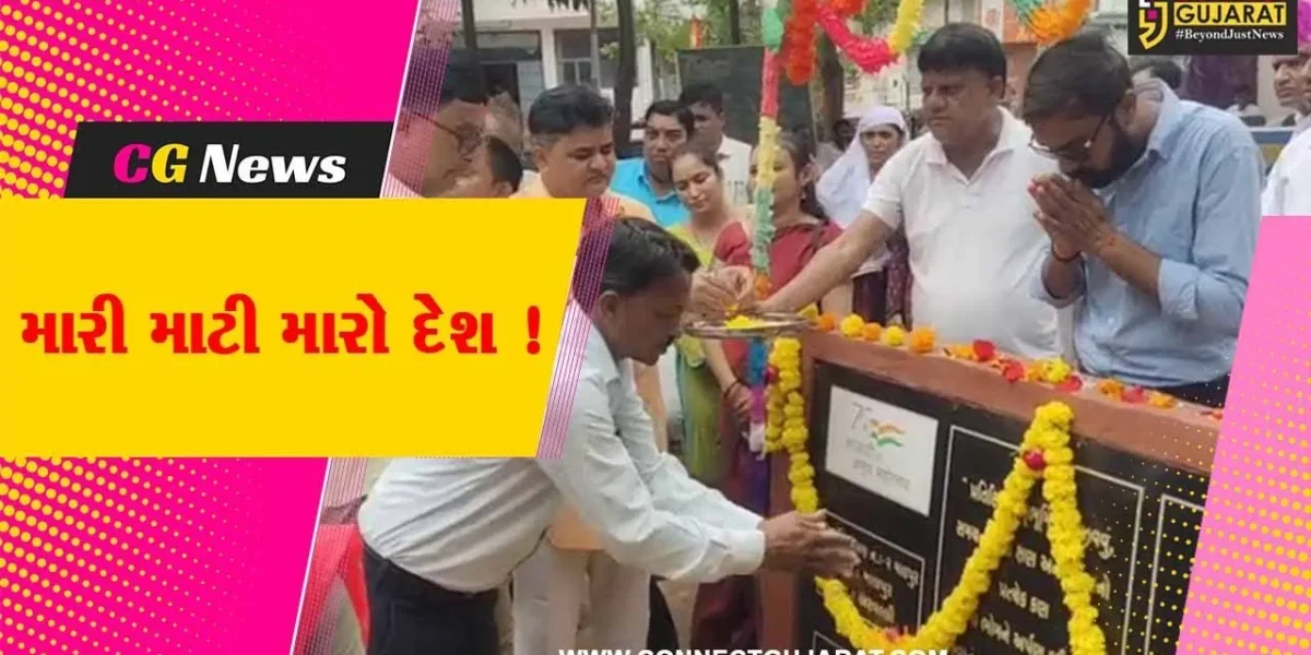 અરવલ્લી: આઝાદીના અમૃત મહોત્સવ અંતર્ગત મારી માટી મારો દેશ કાર્યક્રમનું આયોજન કરાયુ