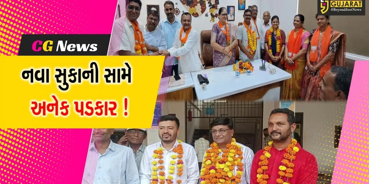 રાજ્યમાં સ્થાનિક સ્વરાજ્યની સંસ્થાઓની ચૂંટણીમાં નવા પ્રમુખ-ઉપ પ્રમુખની વરણી