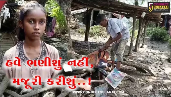“હવે ભણીશું નહીં, મજૂરી કરીશું” : પૂરના કારણે અંકલેશ્વરના જુના બોરભાઠા બેટની વિદ્યાર્થીની લક્ષ્મીની આપવીતી…