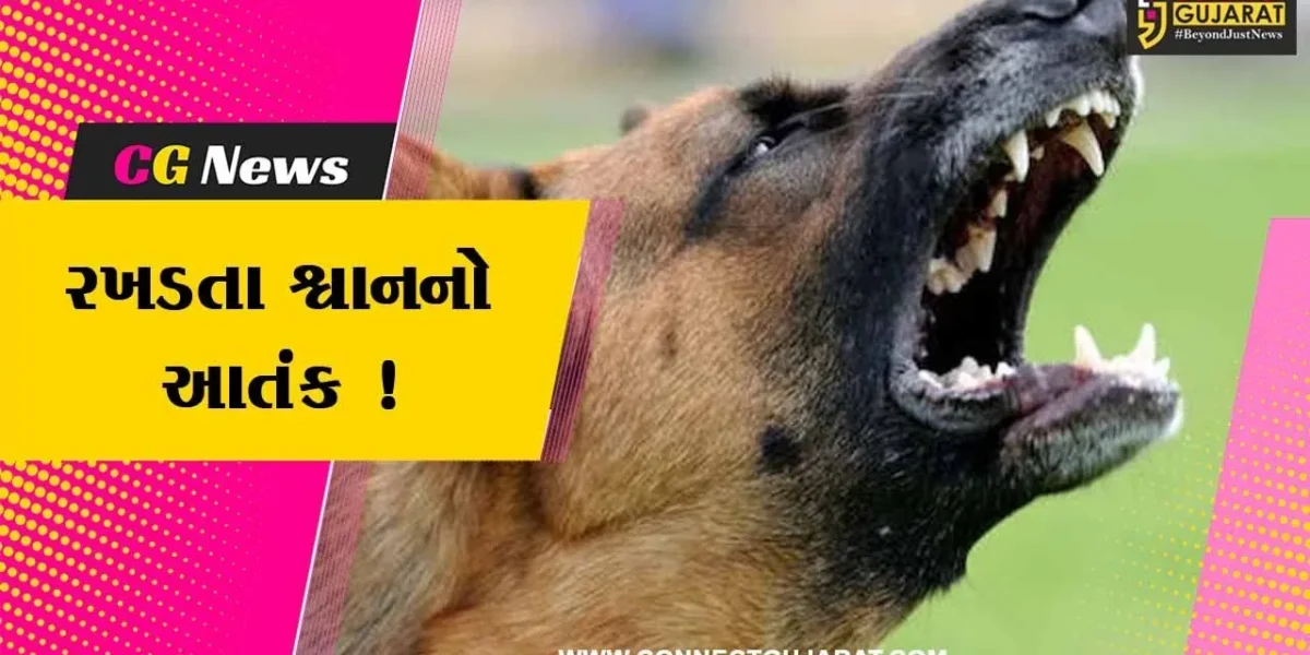 ભરૂચ: રખડતા શ્વાનનો આતંક બે કાબૂ, એક જ મહિનામાં ડોગ બાઇટના 705 કેસ નોંધાયા