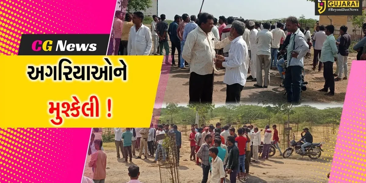 સુરેન્દ્રનગર: કૂડા રણમાં કાર્ડ વિના પ્રવેશતા અગરિયાઓને રોકાતા ફોરેસ્ટ વિભાગ સાથે ઘર્ષણથી દોડધામ