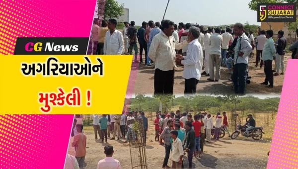 સુરેન્દ્રનગર: કૂડા રણમાં કાર્ડ વિના પ્રવેશતા અગરિયાઓને રોકાતા ફોરેસ્ટ વિભાગ સાથે ઘર્ષણથી દોડધામ