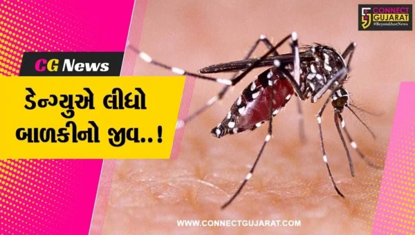 ભાવનગર : સિહોરમાં ડેન્ગ્યુએ લીધો એક બાળકીનો જીવ, આરોગ્ય વિભાગ દોડતું થયું…