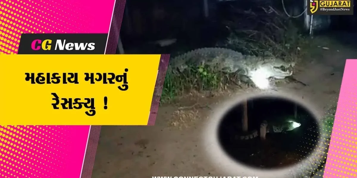 ભરૂચ: ઝઘડિયાના ભાલોદ ગામે મોટી ભાગોળ વિસ્તારમાં મોડી રાત્રે મગર ધશી આવતા દોડધામ