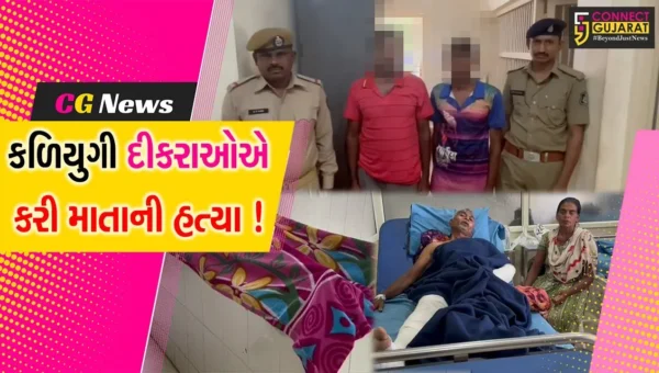 નવસારી: વાંસદાના લાછકડી ગામના કળિયુગી દીકરાઓએ માતાની કરી હત્યા,પિતા સારવાર હેઠળ