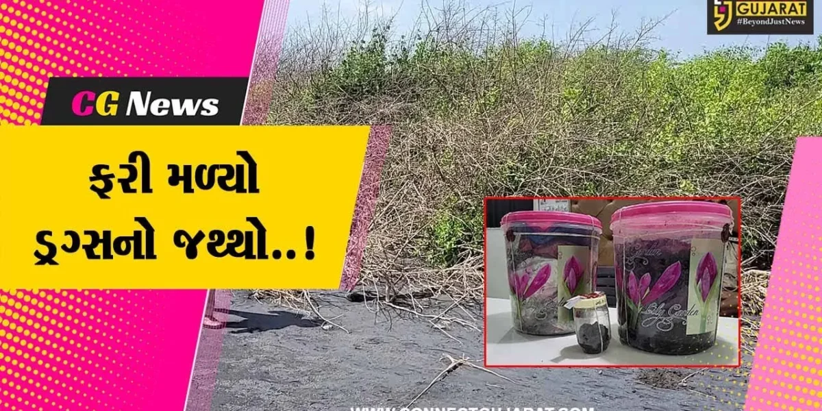 સુરત : ઓલપાડના ડભારી દરિયા કિનારેથી પોલીસને મળી આવ્યું રૂ. 13.56 લાખનું ડ્રગ્સ…