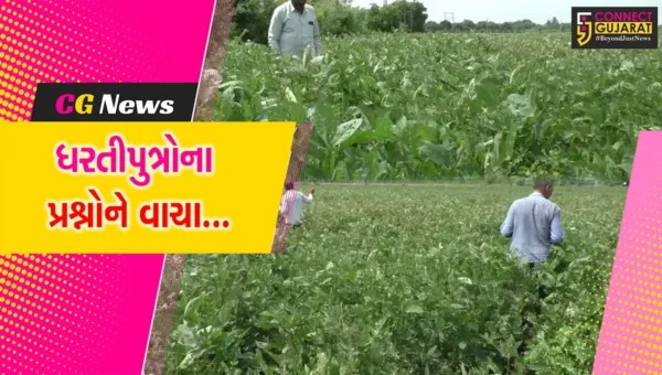 ધરતીપુત્રોના પ્રશ્નોને હકારાત્મક વાચા આપવા રાજ્ય સરકારનો ખેડૂત હિતલક્ષી નિર્ણય : કૃષિ મંત્રી રાઘવજી પટેલ