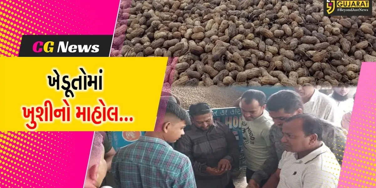 ગુજરાતમાં અહીં ખેડૂતોને મળી રહ્યા છે મગફળીના સારા ભાવ, ધરતીપુત્રોમાં ખુશીનો માહોલ…