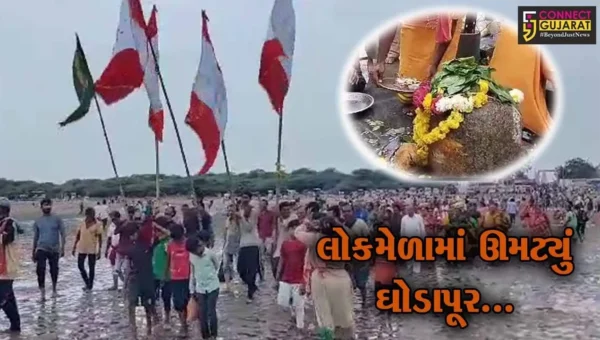 ભાવનગર : કલંક મુક્ત થવા પાંડવોએ કોળિયાક ગામે કર્યું હતું તપ, ત્યારથી જ નિષ્કલંક મહાદેવના સાનિધ્યમાં યોજાય છે લોકમેળો