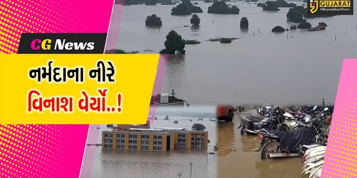 અંકલેશ્વર : નર્મદા નદીમાં પૂરની પરિસ્થિતીએ વિનાશ સર્જાયો, અનેક સોસાયટીઓ પાણીમાં ગરકાવ….