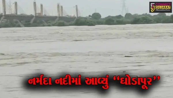 ભરૂચ : નર્મદા નદીમાં પૂરની પરિસ્થિતી વચ્ચે ઝઘડીયાના અનેક ગામોમાંથી લોકોને સ્થળાંતર કરાયા…