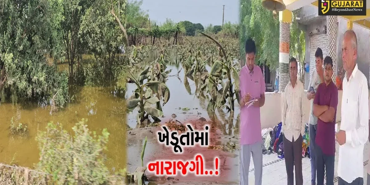 અંકલેશ્વર : રાજ્ય સરકારના કૃષિ રાહત પેકેજ સામે જૂના બોરભાઠાના ખેડૂતોમાં નારાજગી, જુઓ શું કહ્યું ધરતીપુત્રોએ..!