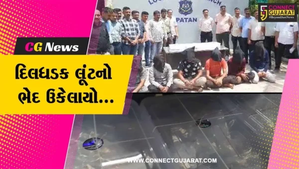 બનાસકાંઠાના પાલનપુર-ડીસા હાઇવે દિલધડક લૂંટને અંજામ આપનાર શખ્સોને પાટણ LCB પોલીસે દબોચ્યા…