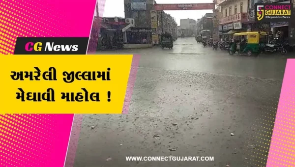 અમરેલી: જીલ્લામાં ઠેર ઠેર મેઘાવી માહોલ,ખેડૂતોમાં ખુશી જોવા મળી