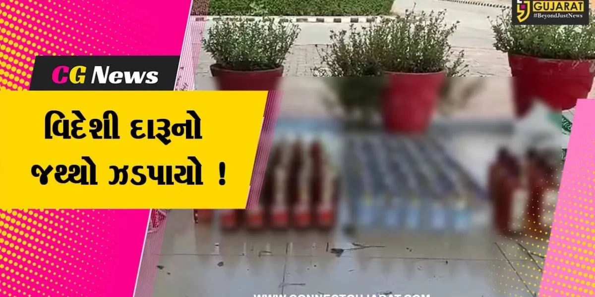 અરવલ્લી: પોલીસે શામળાજી નજીક રાજસ્થાન બોર્ડર પરથી મોટી સંખ્યામાં વિદેશી દારૂનો જથ્થો ઝડપી પાડ્યો