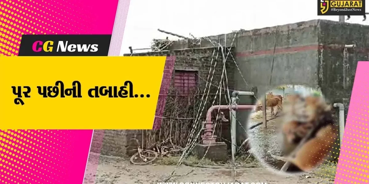 વડોદરા : નર્મદા નદીમાં ભારે પૂરના કારણે માલસર ગામના 40 પશુઓ તણાયા, ખેતી પાક થયો સંપૂર્ણપણે નાશ….