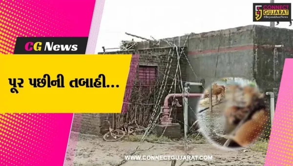 વડોદરા : નર્મદા નદીમાં ભારે પૂરના કારણે માલસર ગામના 40 પશુઓ તણાયા, ખેતી પાક થયો સંપૂર્ણપણે નાશ….