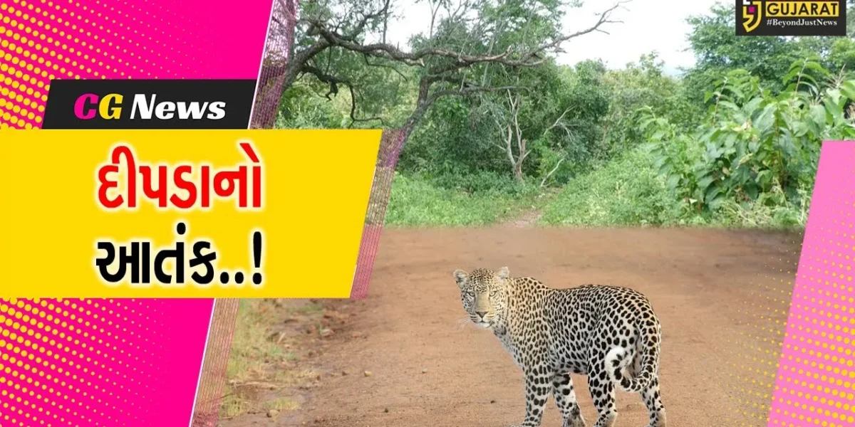 અરવલ્લી : દીપડાની દહેશતના પગલે મેઘરજમાં લોકોએ પોતાના મકાનની ફરતે બનાવી લાકડાની વાડ…