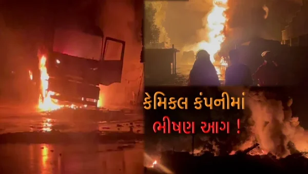 અરવલ્લી : શામળાજીની અસાલ GIDCમાં 4 મહિનાથી બંધ ઇકોવેસ્ટ કેમિકલ કંપનીમાં ભીષણ આગ