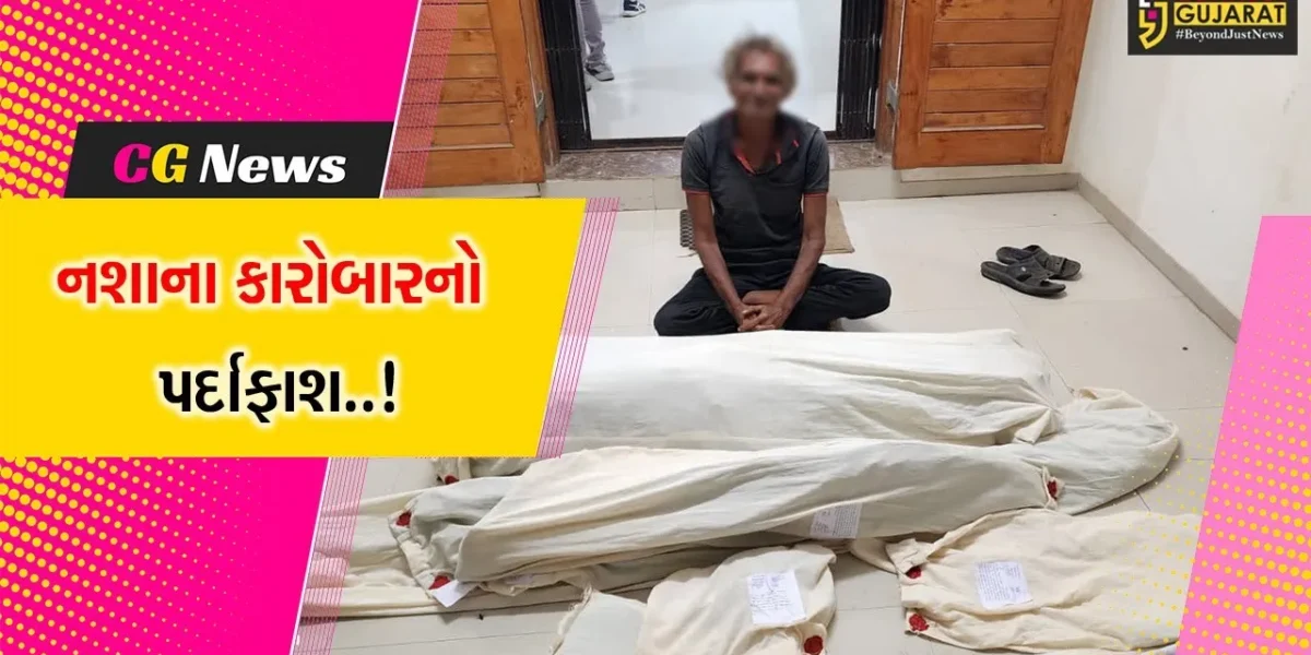 જુનાગઢ : ઘર આંગણામાં ગાંજાના છોડનું વાવેતર કરનાર ઓસા ગામના શખ્સની ધરપકડ, રૂ. 1.75 લાખનો મુદ્દામાલ જપ્ત