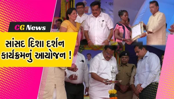 નવસારી: સાંસદ દિશાદર્શન કાર્યક્રમનું આયોજન, સરકારની વિવિધ યોજનાઓના લાભાર્થીઓને હુકમ પત્ર સુપ્રત કરાયા
