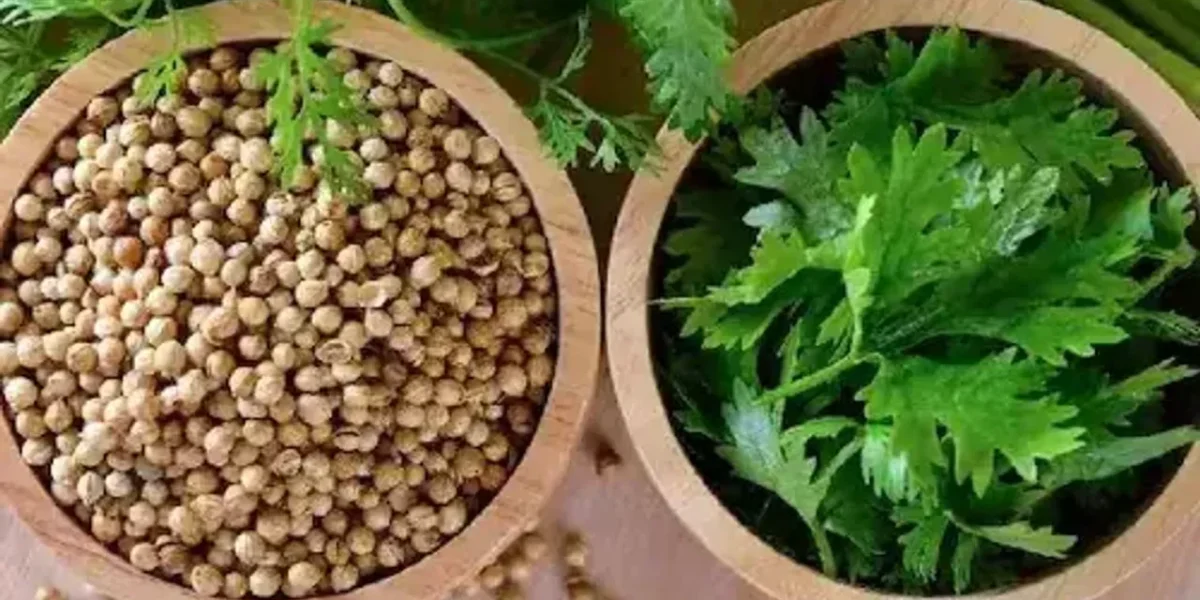 થાઇરોઈડની બીમારીમાં આ એક વસ્તુનું સેવન કરવાનું ના ભૂલતા, તરત જ મળશે રાહત…..