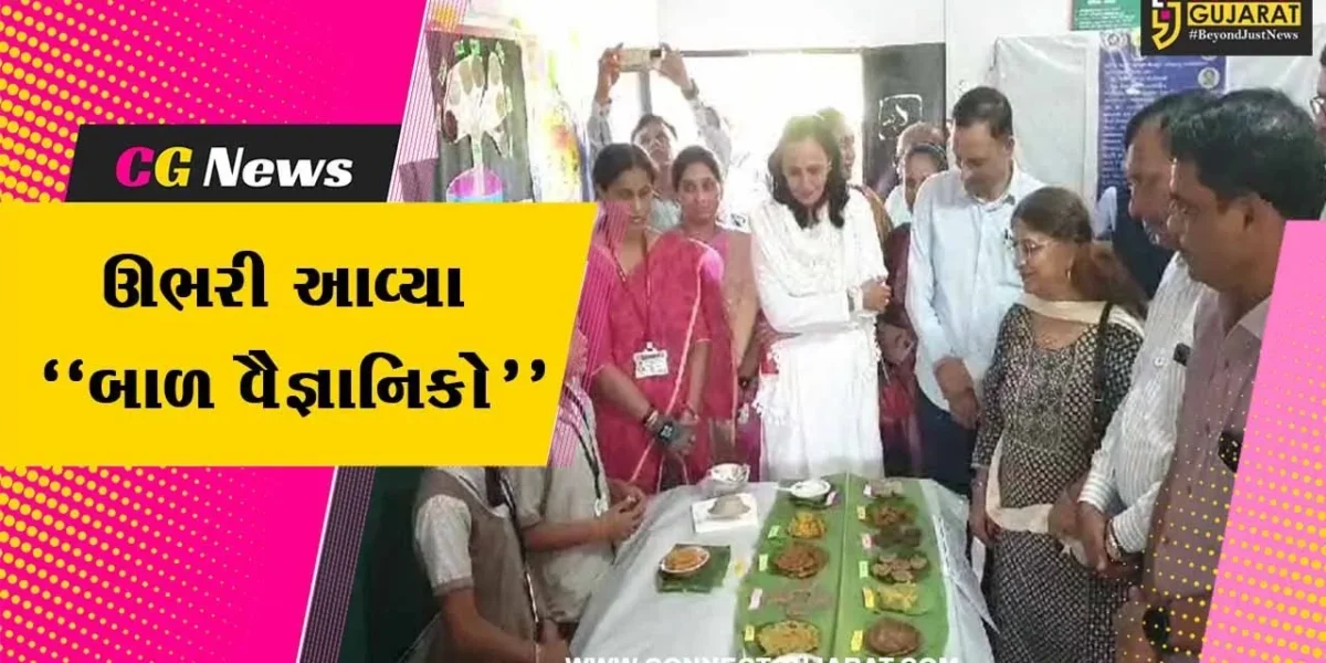અંકલેશ્વર : સુરવાડી પ્રાથમિક શાળામાં યોજાયું બાળ વૈજ્ઞાનિક પ્રદર્શન, પર્યાવરણ-પ્રકૃતિને લગતી કૃતિઓ રજૂ કરાય…