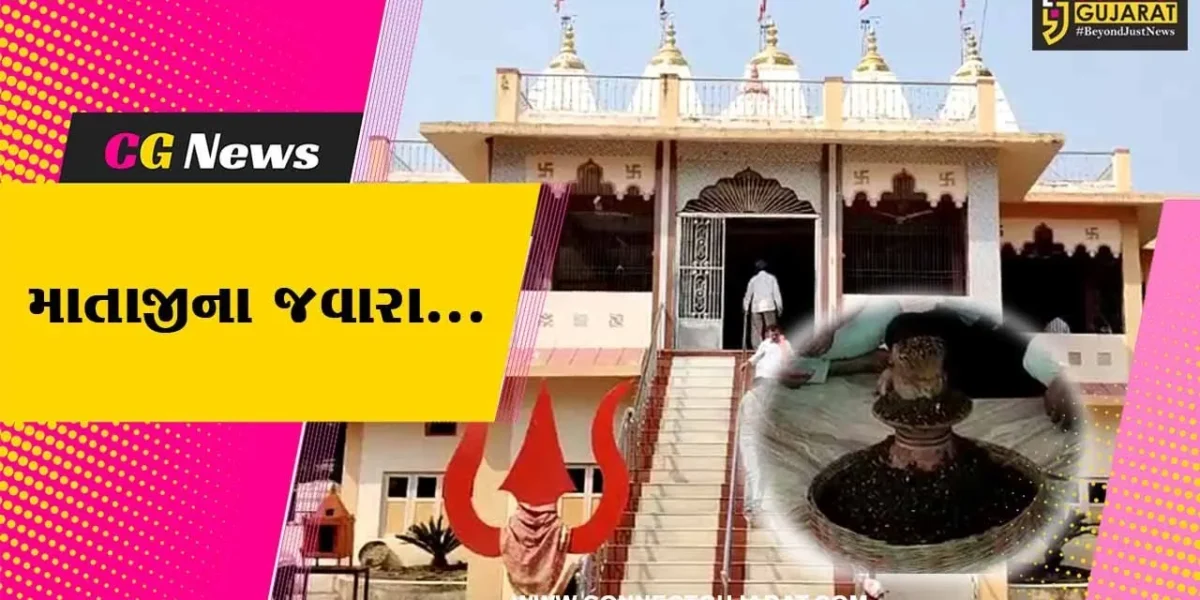 ભરૂચ : નોરતાના પ્રારંભે તવરા સ્થિત પાંચ દેવી મંદિરે આહીર સમાજ દ્વારા માતાજીના જવારાની સ્થાપના…