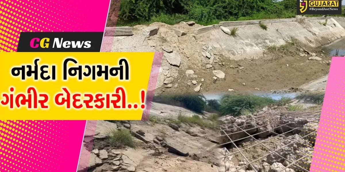 પાટણ : રાધનપુર મુખ્ય કેનાલમાં પડ્યા ઠેર ઠેર ગાબડાં, નર્મદા નિગમની ગંભીર બેદરકારી : કોંગ્રેસ નેતા