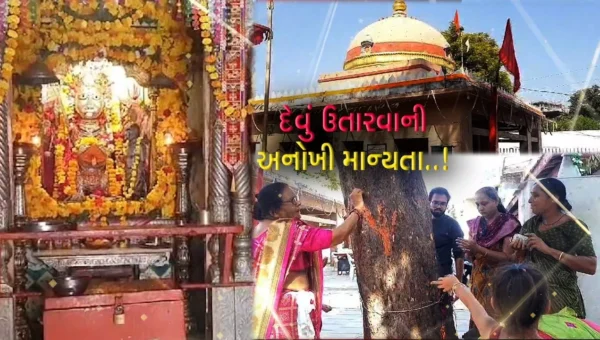 દશેરાએ દેવું ઉતારવાની અનોખી માન્યતા : ભરૂચના સિંઘવાઇ મંદિરે સમી વૃક્ષની છાલ ઉખાડી માતાને અર્પણ કરતાં શ્રદ્ધાળુઓ…
