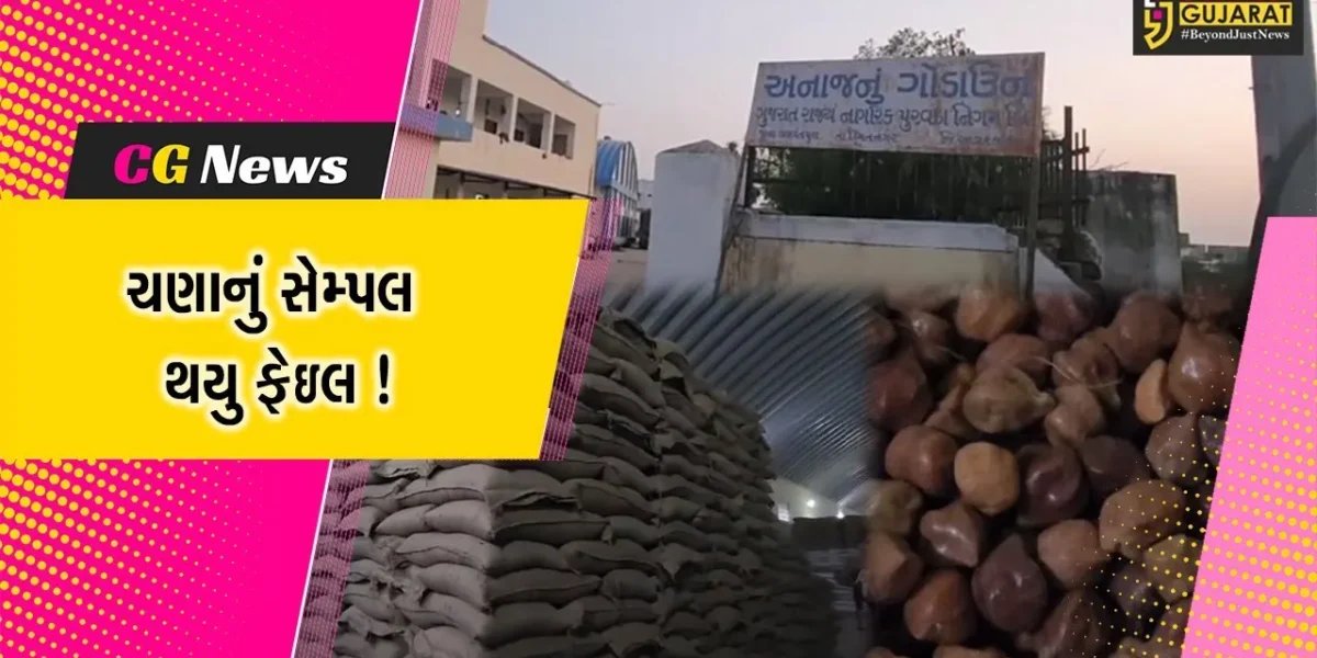 સાબરકાંઠા: બે તાલુકામાં ચણાનું સેમ્પલ થયું ફેઈલ, 30 મેટ્રિક ટન ચણાનો જથ્થો પરત મોકલવામાં આવશે