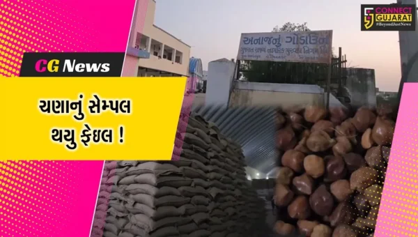 સાબરકાંઠા: બે તાલુકામાં ચણાનું સેમ્પલ થયું ફેઈલ, 30 મેટ્રિક ટન ચણાનો જથ્થો પરત મોકલવામાં આવશે