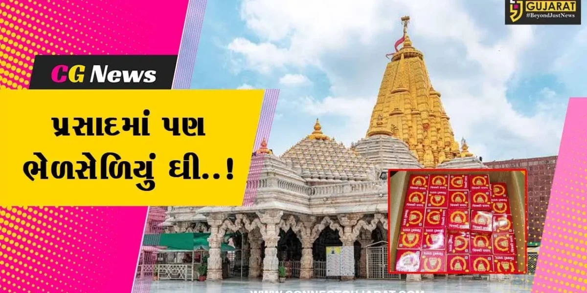અંબાજી મંદિર પ્રસાદના ઘીના સેમ્પલ પૃથક્કરણમાં ફેલ, સાબર ડેરીએ નોંધાવી મોહિની કેટરર્સ વિરુદ્ધ ફરિયાદ