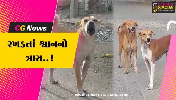 ભાવનગર : છેલ્લા 6 મહિનામાં શ્વાન કરડવાના 15,197 કેસ નોંધાયા, ચોંકાવનારો આંકડો સામે આવતા મનપાની કામગીરી ઉપર સવાલ…