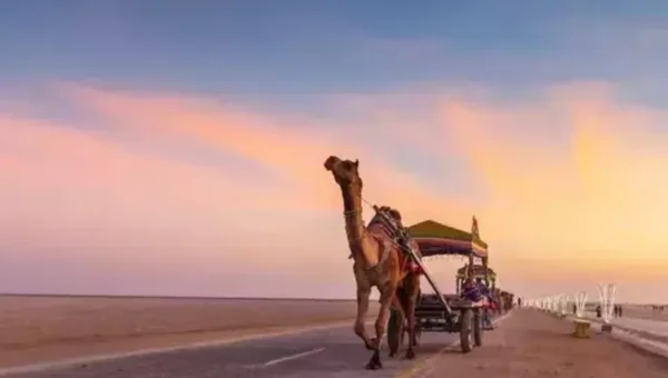 કચ્છનું ધોરડો વિશ્વના શ્રેષ્ઠ પ્રવાસન ગામોની યાદીમાં સામેલ, સંયુક્ત રાષ્ટ્રના વિશ્વ પર્યટન સંગઠને કરી જાહેરાત…..
