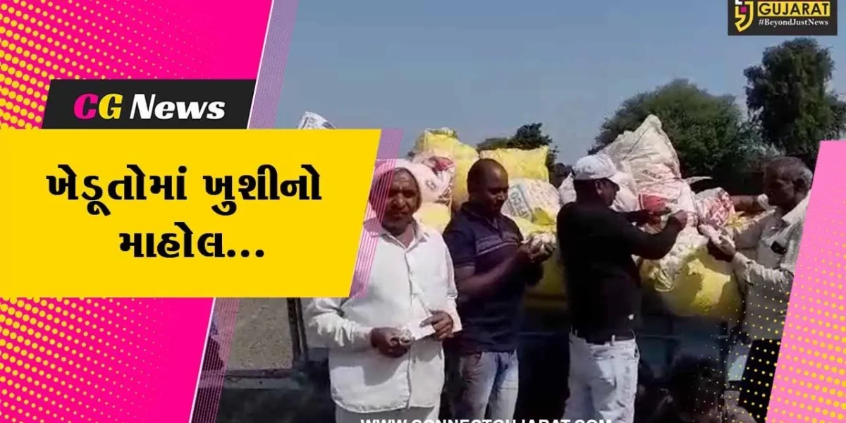 અમરેલી : હરાજીના પ્રથમ દિવસે જ લાઠી માર્કેટ યાર્ડ ખાતે કપાસનો સારો ભાવ મળતા ખેડૂતોમાં ખુશી…