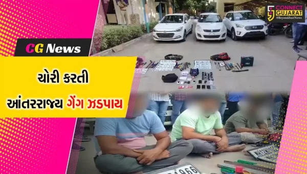 ભાવનગર:ક્રાઇમ બ્રાન્ચે ચોરી કરતી આંતરરાજ્ય ગેંગ ઝડપી પાડી,જુઓ કેવીરીતે ચોરીના ગુનાને આપતા હતા અંજામ