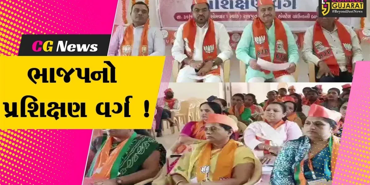 ભરૂચ: 9 તાલુકા પંચાયતોના 139 સભ્યોનો પ્રશિક્ષણ વર્ગ યોજાયો, વિકાસની ગાથા જનજન સુધી પહોંચાડવા આહવાહન
