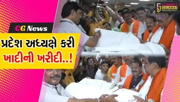 સુરત : ગાંધી જયંતિ નિમિત્તે બારડોલીના ખાદી ભંડાર કેન્દ્રની સી.આર.પાટીલે લીધી મુલાકાત…